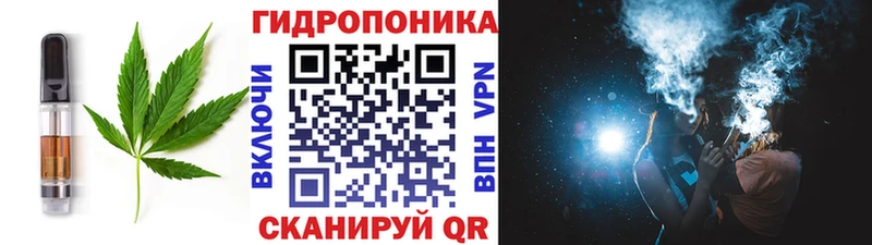 где купить наркоту  Менделеевск  Canna-Cookies марихуана 