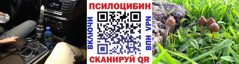 продажа наркотиков  Менделеевск  Галлюциногенные грибы Cubensis 