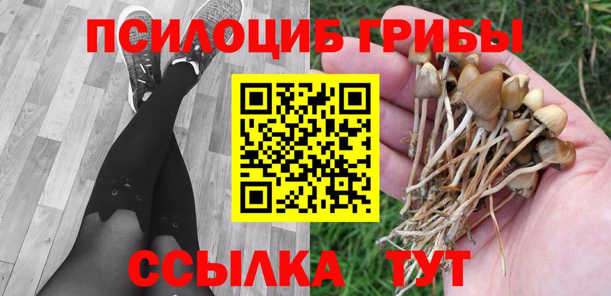Галлюциногенные грибы GOLDEN TEACHER Менделеевск